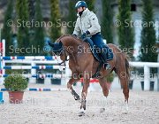 Lotus del Sole Tosc Tour2013- S5 1943 : Arezzo, Cavalli d'Italia, Lotus, Lotus del Sole, Toscana Tour 2013, foto di Stefano Secchi ©